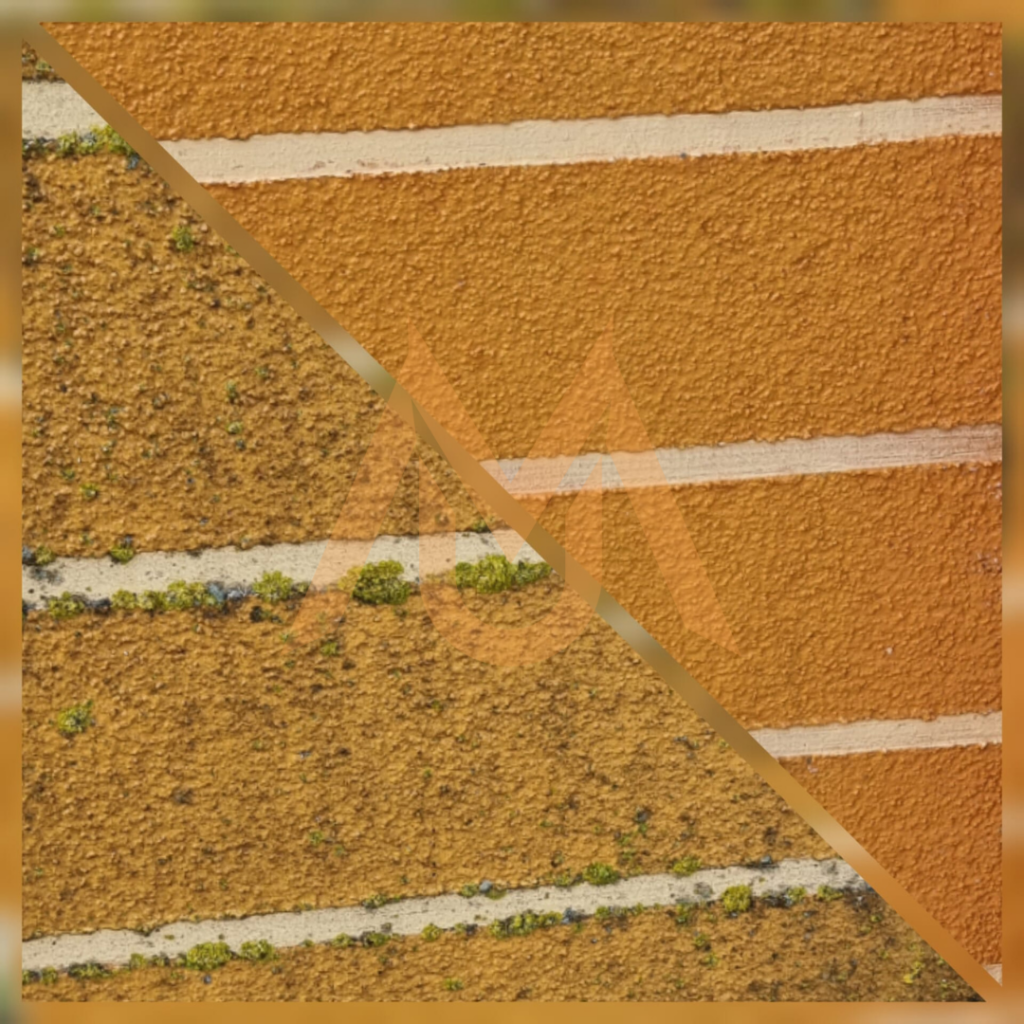 Zmywanie mchów i glonów.